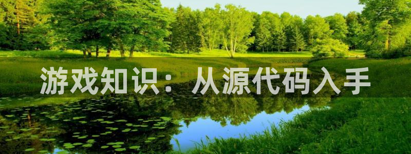 辉达娱乐下载:游戏知识:从源代码入手